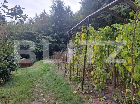 Casa de vânzare 2 camere Vulcan - 178478CV | BLITZ Brașov | Poza13