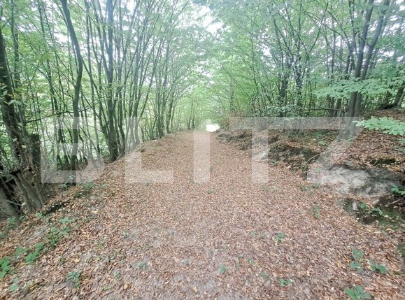 Casa de vânzare 2 camere Vulcan - 178478CV | BLITZ Brașov | Poza10