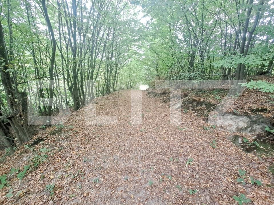 Casa de vânzare 2 camere Vulcan - 178478CV | BLITZ Brașov | Poza10