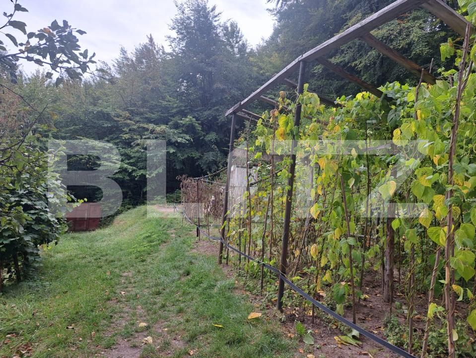 Casa de vânzare 2 camere Vulcan - 178478CV | BLITZ Brașov | Poza13