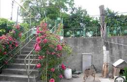 Casa de vanzare, 110 mp cu 740 mp teren