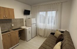 Camera de vanzare, 13mp, complet renovata, zona Tractorul