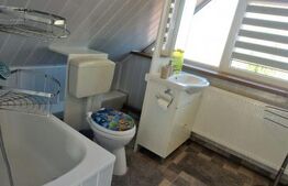 Casa de inchiriat, cu 4 camere, mobilata, curte, pivnita, zona Bartolomeu