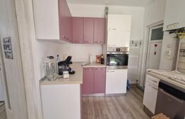 Casa de inchiriat, cu 4 camere, mobilata, curte, pivnita, zona Bartolomeu