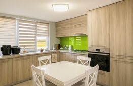 Casa cu 4 apartamente, 313 mp – ideala pentru investitie si Airbnb, Someseni