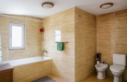 Casa cu 4 apartamente, 313 mp – ideala pentru investitie si Airbnb, Someseni