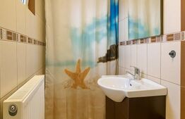 Casa cu 4 apartamente, 313 mp – ideala pentru investitie si Airbnb, Someseni