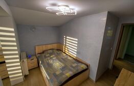 Casa cu 4 apartamente, 313 mp – ideala pentru investitie si Airbnb, Someseni