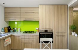 Casa cu 4 apartamente, 313 mp – ideala pentru investitie si Airbnb, Someseni