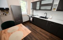 Apartament mobilat si utilat, bucatarie inchisa, garaj, langa Parcul Poligon