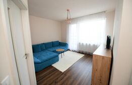 Apartament mobilat si utilat, bucatarie inchisa, garaj, langa Parcul Poligon