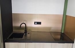 Apartament 1 camera, zona Piata Mihai Viteazu 