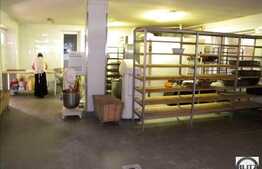 Casa Individuala + Brutarie ( aparatura + dotari + cuptoare, incluse ) !