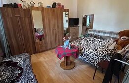 Apartament 2 camere + curte proprie și parcare – zona extraordinara, centru UMF