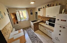 Apartament 1 camera | 24m² | Renovat | 