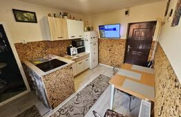 Apartament 1 camera | 24m² | Renovat | 