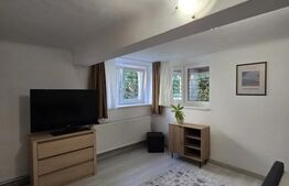 Garsoniera modernă, 35 mp, zona Andrei Muresan