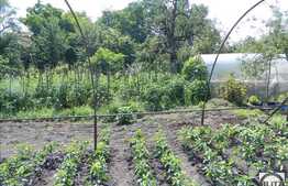 Casa de vanzare, demolabila, teren 1430 mp in cartierul Andrei Muresanu