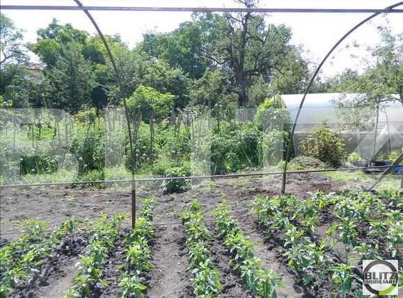 Casa de vânzare 2 camere Andrei Mureşanu - 17876CV | BLITZ Cluj-Napoca | Poza3