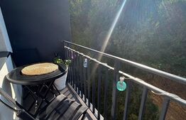 Apartament 3 camere, zona linistia - Zona Teilor