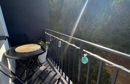 Apartament 3 camere, zona linistia - Zona Teilor