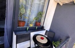 Apartament 3 camere, zona linistia - Zona Teilor