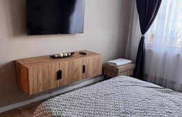 Apartament 3 camere, zona linistia - Zona Teilor