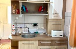 Garsoniera la casa cu curte, 40 mp, decomandata, zona 21 Decembrie