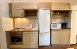 Garsoniera la casa cu curte, 40 mp, decomandata, zona 21 Decembrie