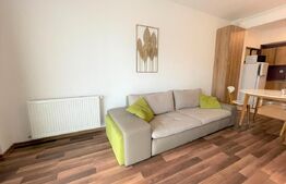 Apartament open space, 45 mp, zona strazii Maramuresului