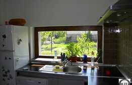 Casa constructie noua  in Dambul Rotund.