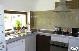 Casa constructie noua  in Dambul Rotund.