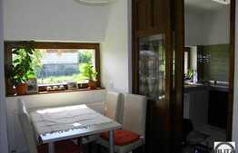 Casa constructie noua  in Dambul Rotund.