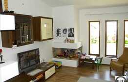 Casa constructie noua  in Dambul Rotund.