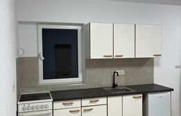 Garsonieră modernă, 25 mp, Centru 