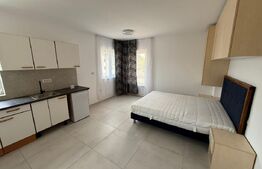 Garsonieră modernă, 25 mp, Centru 