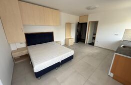 Garsonieră modernă, 25 mp, Centru 