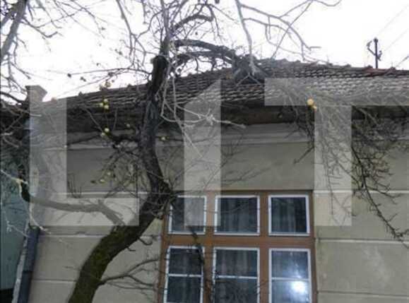 Casa de vânzare 2 camere Andrei Mureşanu - 17886CV | BLITZ Cluj-Napoca | Poza7