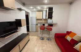 Apartament 2 camere, semidecomandat, zona Big