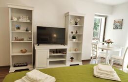 Studio cochet Predeal – mobilat, utilat, vedere superbă!