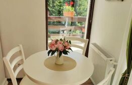 Studio cochet Predeal – mobilat, utilat, vedere superbă!