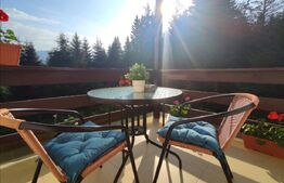 Studio cochet Predeal – mobilat, utilat, vedere superbă!