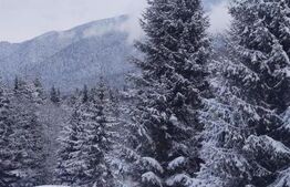 Studio cochet Predeal – mobilat, utilat, vedere superbă!