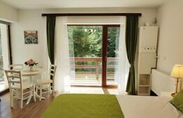 Studio cochet Predeal – mobilat, utilat, vedere superbă!