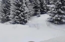 Studio cochet Predeal – mobilat, utilat, vedere superbă!