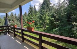 Studio cochet Predeal – mobilat, utilat, vedere superbă!