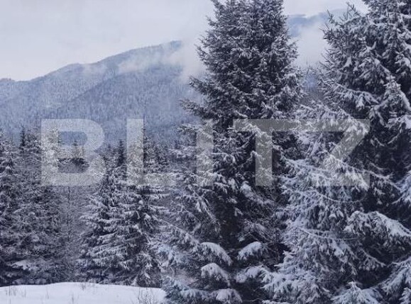 Garsonieră de vânzare Predeal - 178878AV | BLITZ Brașov | Poza12