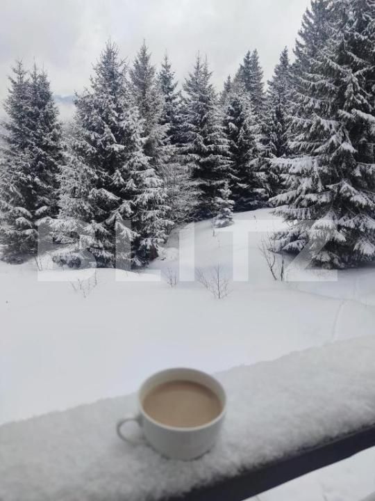 Garsonieră de vânzare Predeal - 178878AV | BLITZ Brașov | Poza11