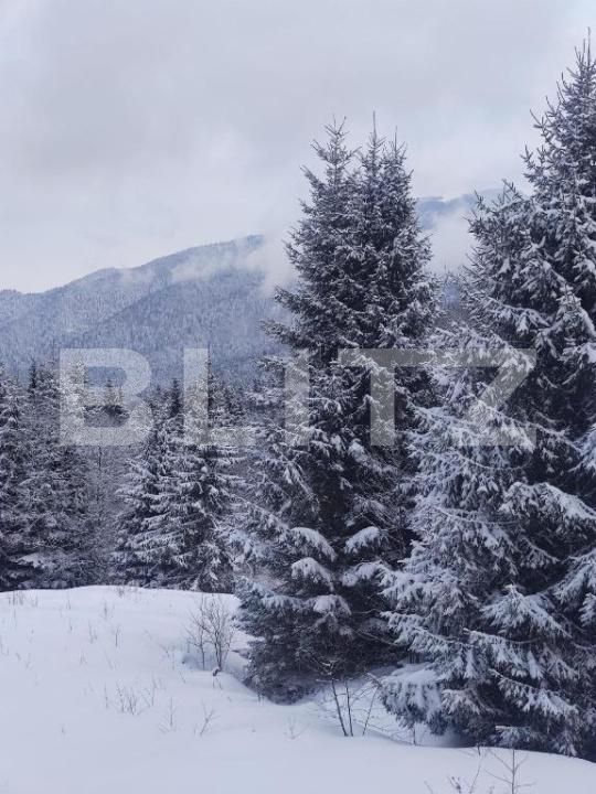 Garsonieră de vânzare Predeal - 178878AV | BLITZ Brașov | Poza12