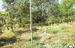 Casa renovabila sau demolabila cu 770 mp teren, zona Dedeman